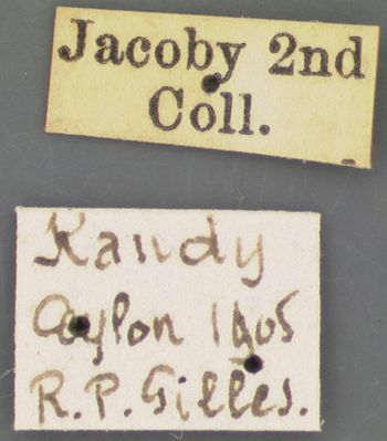 Media type: image; Entomology 9291   Aspect: labels 2